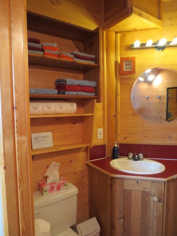 Blaeberry Mountain Lodge Golden Rom bilde