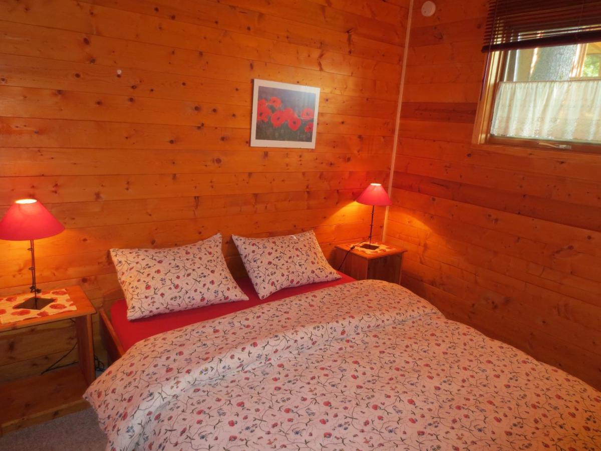 Blaeberry Mountain Lodge Golden Rom bilde